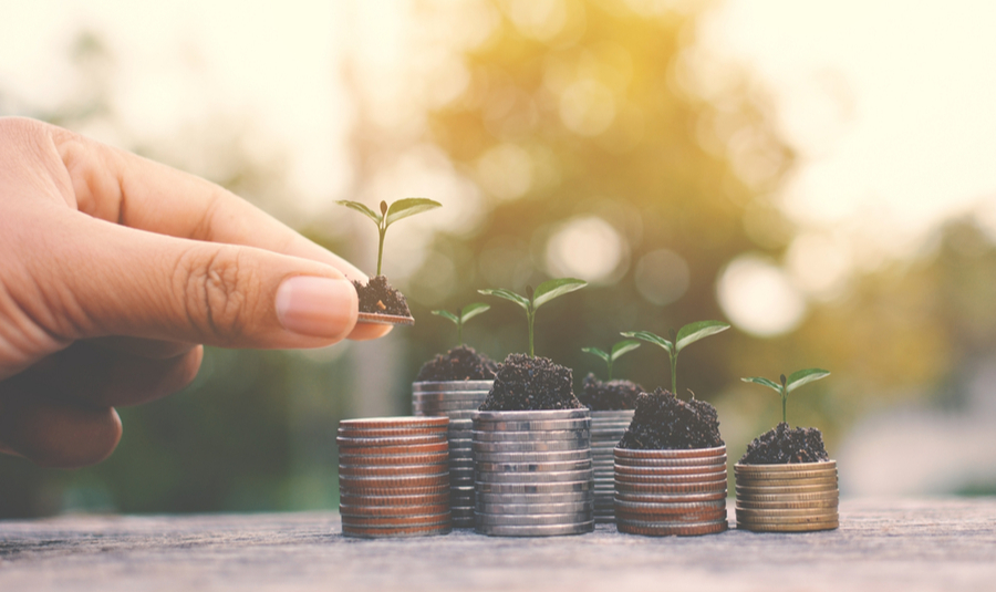 Untitled design (15)