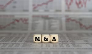 Untitled design (12)