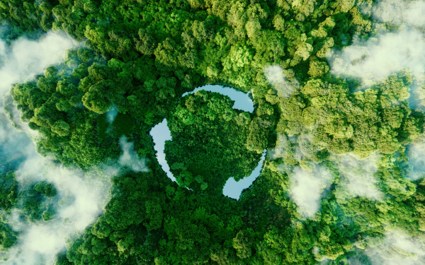 Estée Lauder punta sulla sostenibilità: il sito belga di Oevel diventa modello globale