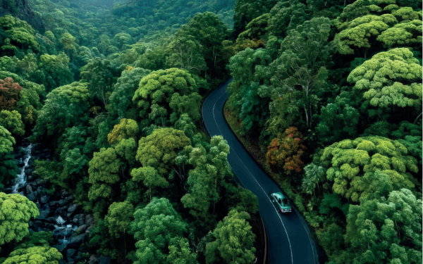 Net-Zero nell’automotive: nuove regole per la filiera delle emissioni