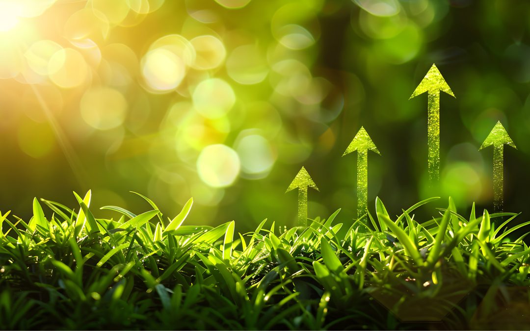 Nature-based Solutions per supply chain resilienti e sostenibili