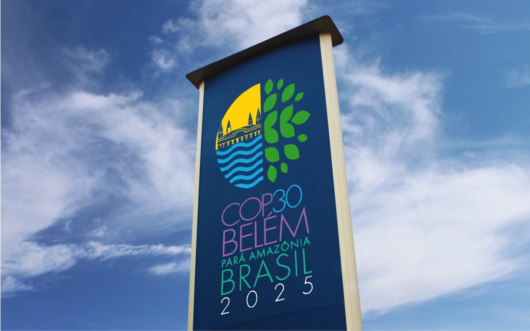 Dal COP30 al tuo sourcing: azioni concrete per un business green e competitivo