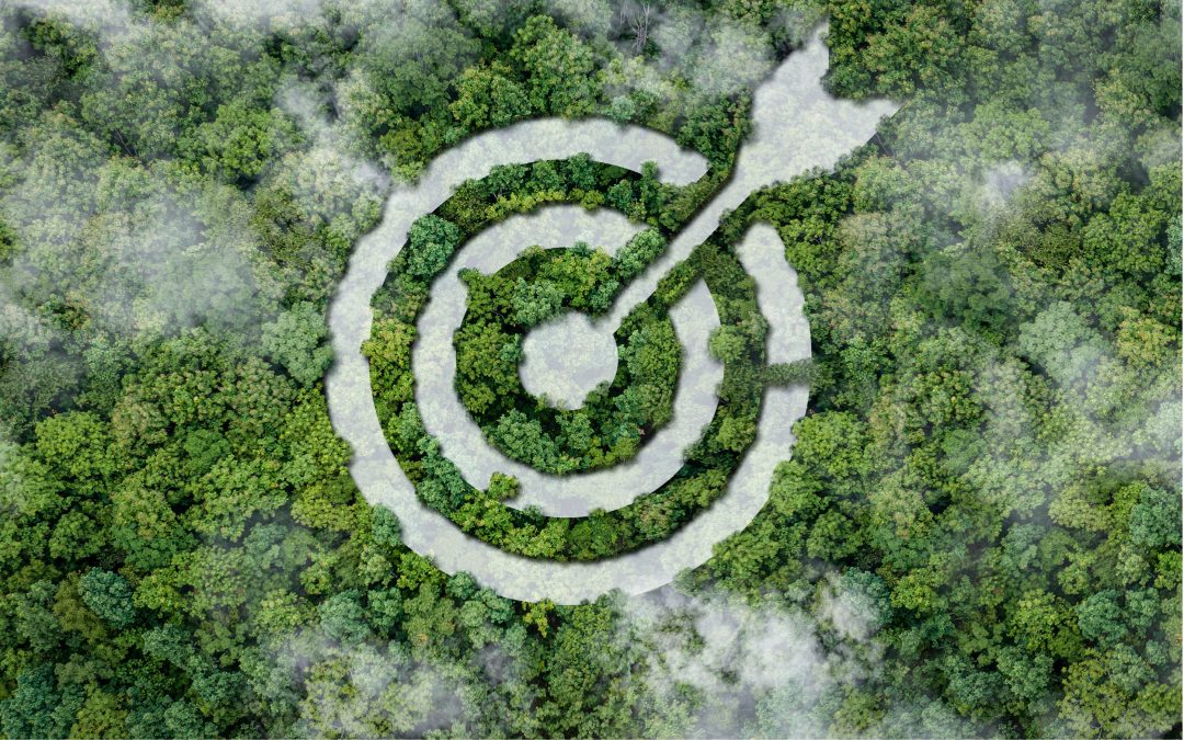 Sostenibilità e responsabilità nella supply chain: i casi di H&M e Heineken