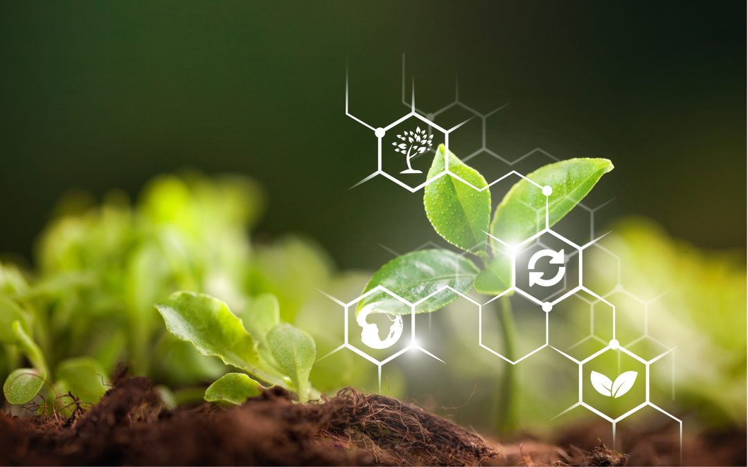 Agricoltura rigenerativa, la svolta delle filiere globali