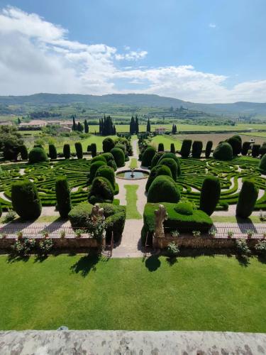 46586d92-4ab8-442d-8432-feadafc1daba