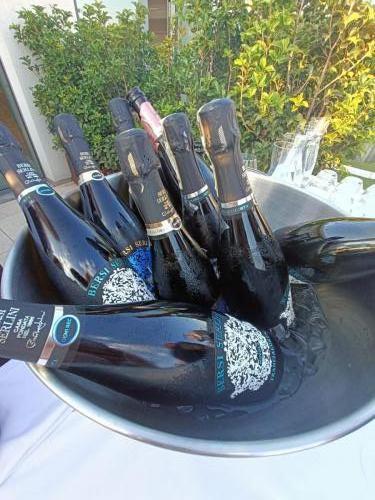 WhatsApp Image 2022-06-16 at 10.38.18