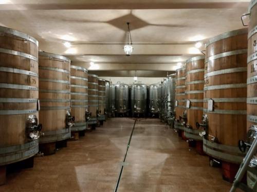 de883e60-4def-4519-9ec8-b0981ae2a1f3